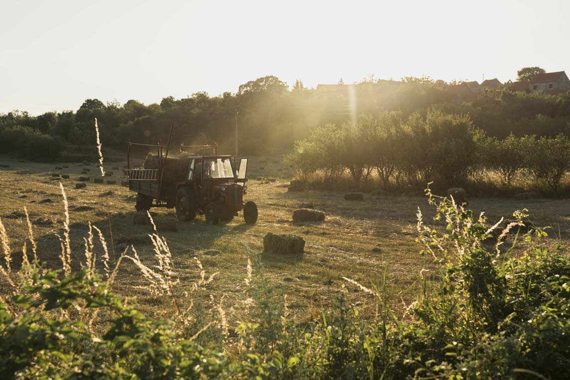 old-red-tractor-collecting-haystacks-from-field