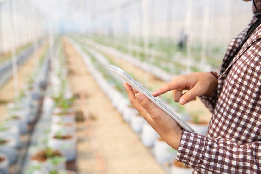 woman-science-assistant-agricultural-officer-greenhouse-farm-research-melon